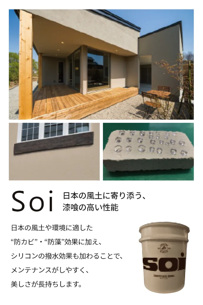 Soi
